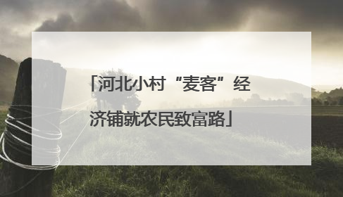 河北小村“麦客”经济铺就农民致富路