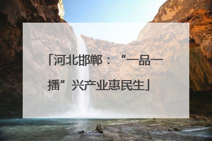 河北邯郸：“一品一播”兴产业惠民生