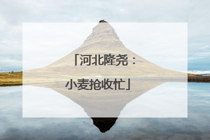 河北隆尧：小麦抢收忙