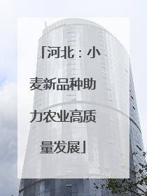 河北：小麦新品种助力农业高质量发展