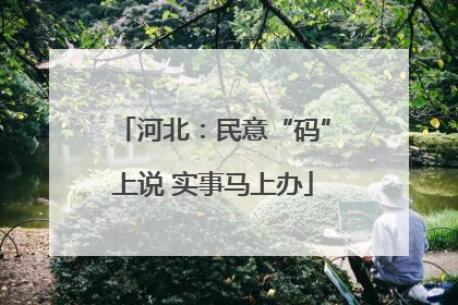河北：民意“码”上说 实事马上办