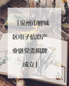 泉州市鲤城区电子信息产业链党委揭牌成立