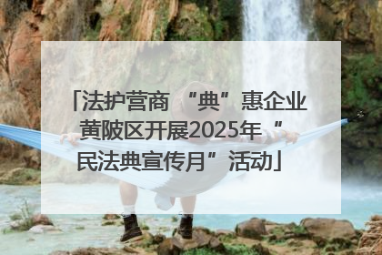 法护营商 “典”惠企业 黄陂区开展2025年“民法典宣传月”活动