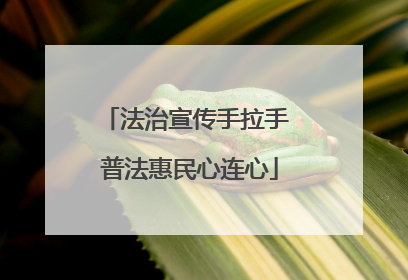 法治宣传手拉手 普法惠民心连心