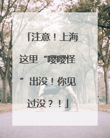 注意！上海这里“嘤嘤怪”出没！你见过没？！