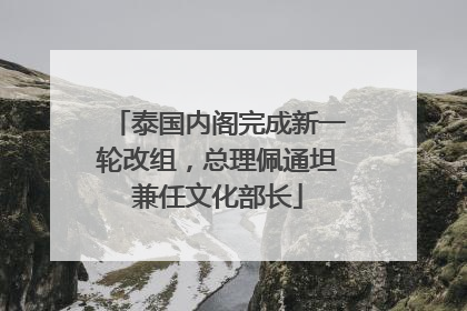 泰国内阁完成新一轮改组，总理佩通坦兼任文化部长