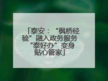 泰安：“枫桥经验”融入政务服务 “泰好办”变身贴心管家