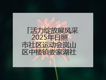 活力绽放展风采 2025年日照市社区运动会岚山区中楼镇娄家湖社区专场举行
