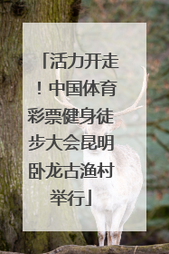 活力开走！中国体育彩票健身徒步大会昆明卧龙古渔村举行