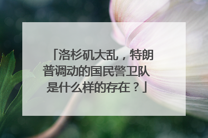 洛杉矶大乱，特朗普调动的国民警卫队是什么样的存在？