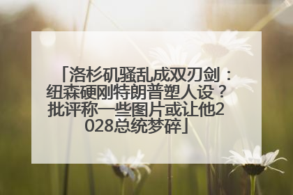 洛杉矶骚乱成双刃剑：纽森硬刚特朗普塑人设？批评称一些图片或让他2028总统梦碎