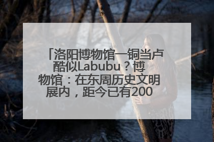 洛阳博物馆一铜当卢酷似Labubu？博物馆：在东周历史文明展内，距今已有2000多年历史