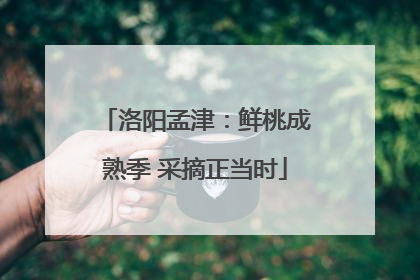 洛阳孟津：鲜桃成熟季 采摘正当时