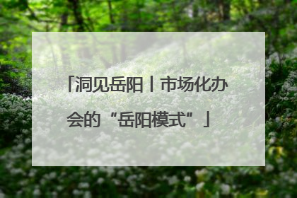 洞见岳阳丨市场化办会的“岳阳模式”