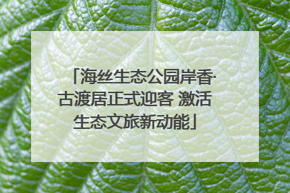 海丝生态公园岸香·古渡居正式迎客 激活生态文旅新动能