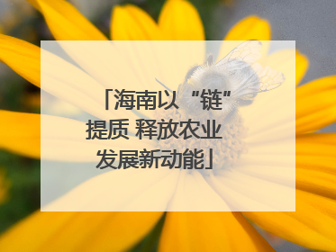 海南以“链”提质 释放农业发展新动能
