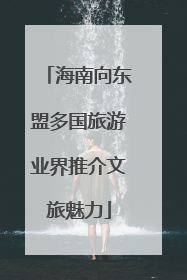 海南向东盟多国旅游业界推介文旅魅力