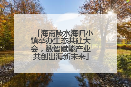 海南陵水海归小镇举办生态共建大会，数智赋能产业共创出海新未来