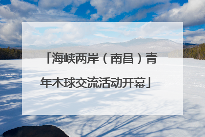 海峡两岸（南昌）青年木球交流活动开幕