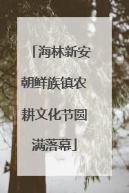 海林新安朝鲜族镇农耕文化节圆满落幕