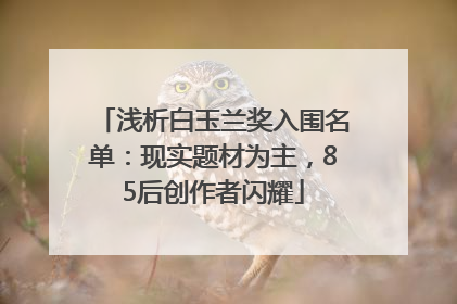 浅析白玉兰奖入围名单：现实题材为主，85后创作者闪耀