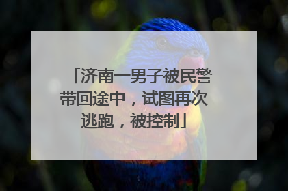 济南一男子被民警带回途中，试图再次逃跑，被控制