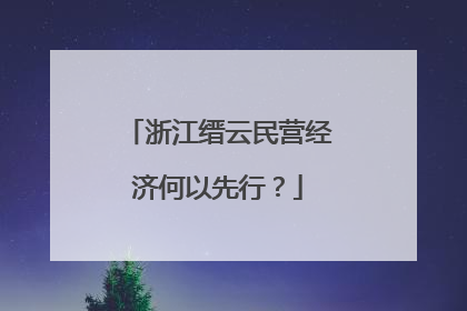 浙江缙云民营经济何以先行？