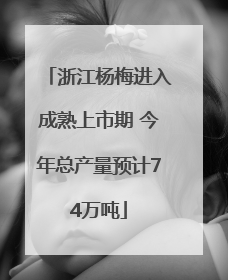 浙江杨梅进入成熟上市期 今年总产量预计74万吨