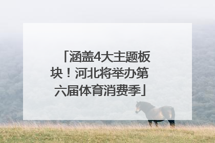 涵盖4大主题板块！河北将举办第六届体育消费季