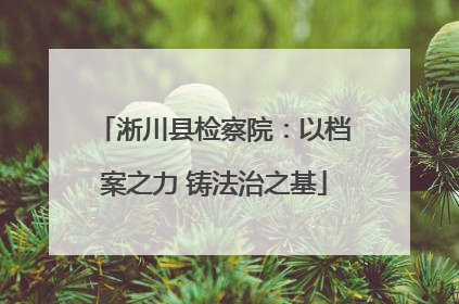 淅川县检察院：以档案之力 铸法治之基