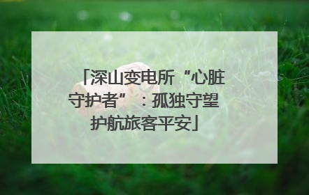 深山变电所“心脏守护者”：孤独守望护航旅客平安