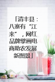 清丰县：八寨有“江来”，网红品牌擘画电商助农发展新图景