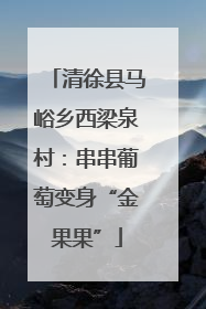 清徐县马峪乡西梁泉村：串串葡萄变身“金果果”