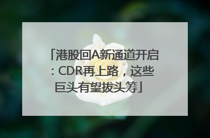 港股回A新通道开启：CDR再上路，这些巨头有望拔头筹