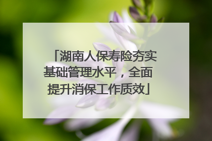 湖南人保寿险夯实基础管理水平，全面提升消保工作质效