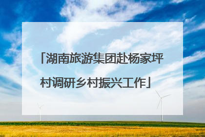 湖南旅游集团赴杨家坪村调研乡村振兴工作
