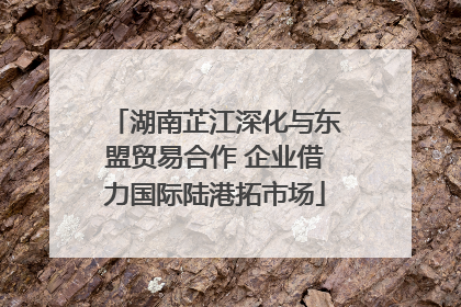 湖南芷江深化与东盟贸易合作 企业借力国际陆港拓市场