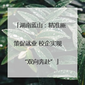 湖南蓝山：精准施策促就业 校企实现“双向奔赴”