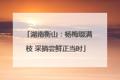 湖南衡山：杨梅缀满枝 采摘尝鲜正当时