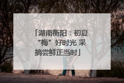 湖南衡阳：初夏“梅”好时光 采摘尝鲜正当时