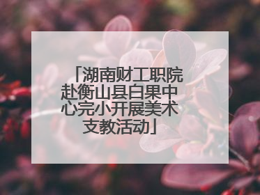 湖南财工职院赴衡山县白果中心完小开展美术支教活动