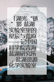 湖光“链”影 盐湖实验室里的星辰与荒原——记中国科学院青海盐湖研究所，盐湖资源化学实验室党总支书记、副主任刘忠