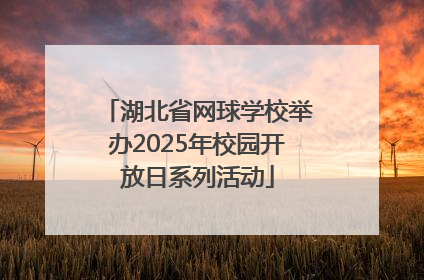 湖北省网球学校举办2025年校园开放日系列活动