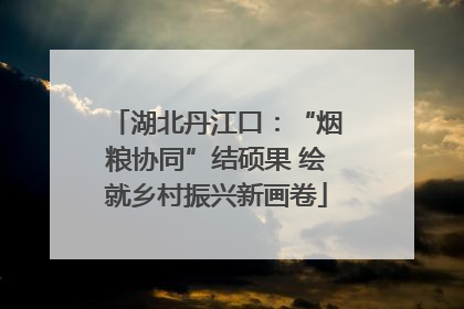 湖北丹江口：“烟粮协同”结硕果 绘就乡村振兴新画卷