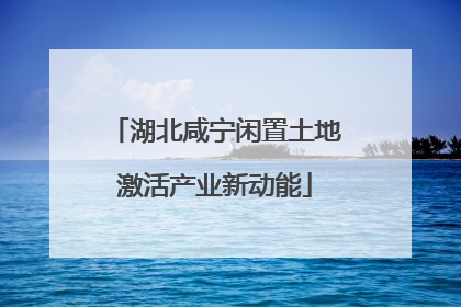 湖北咸宁闲置土地激活产业新动能