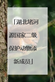 湖北堵河源国家二级保护动物添新成员