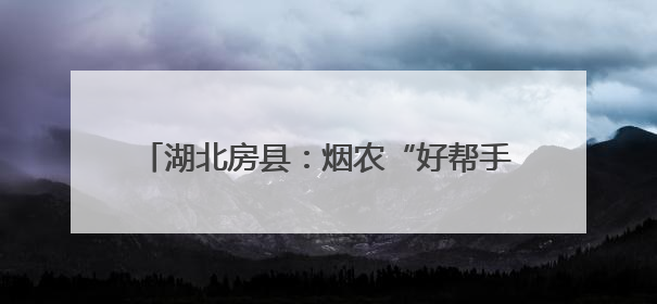 湖北房县：烟农“好帮手”解锁植保“新姿势”