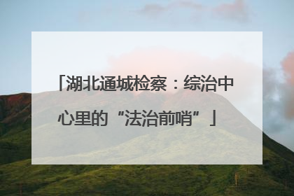 湖北通城检察：综治中心里的“法治前哨”