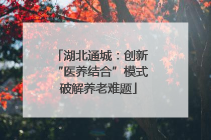 湖北通城：创新 “医养结合”模式 破解养老难题