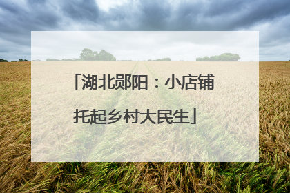 湖北郧阳：小店铺托起乡村大民生